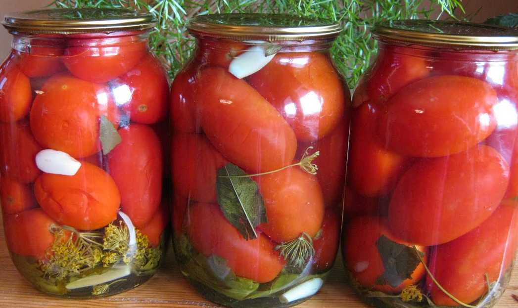 Консервированные помидоры без стерилизации: самый вкусный рецепт острой закуски 