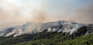 Пожары в Турции и Греции влияют на погоду в Украине: синоптики рассказали о последствиях    - today.ua