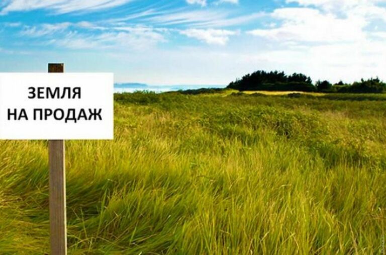 В Україні подорожчала земля: ціни на ділянки у різних областях  - today.ua