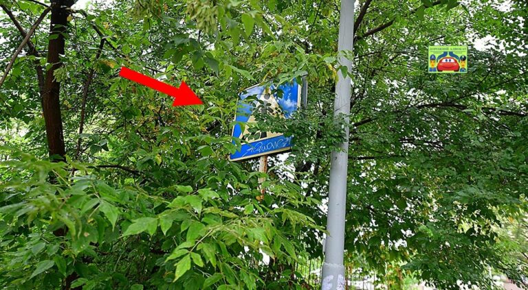 Суд пояснив, за порушення вимог яких знаків не можна штрафувати водіїв - today.ua