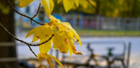 В Украину на неделю вернется лето: синоптики рассказали, в каких областях потеплеет до +25 градусов - today.ua