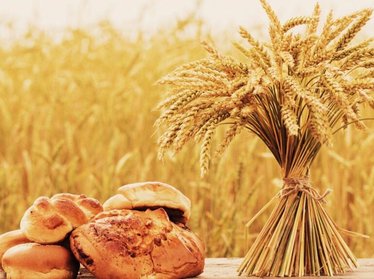 Цены на хлеб в Украине рекордно вырастут уже осенью - today.ua