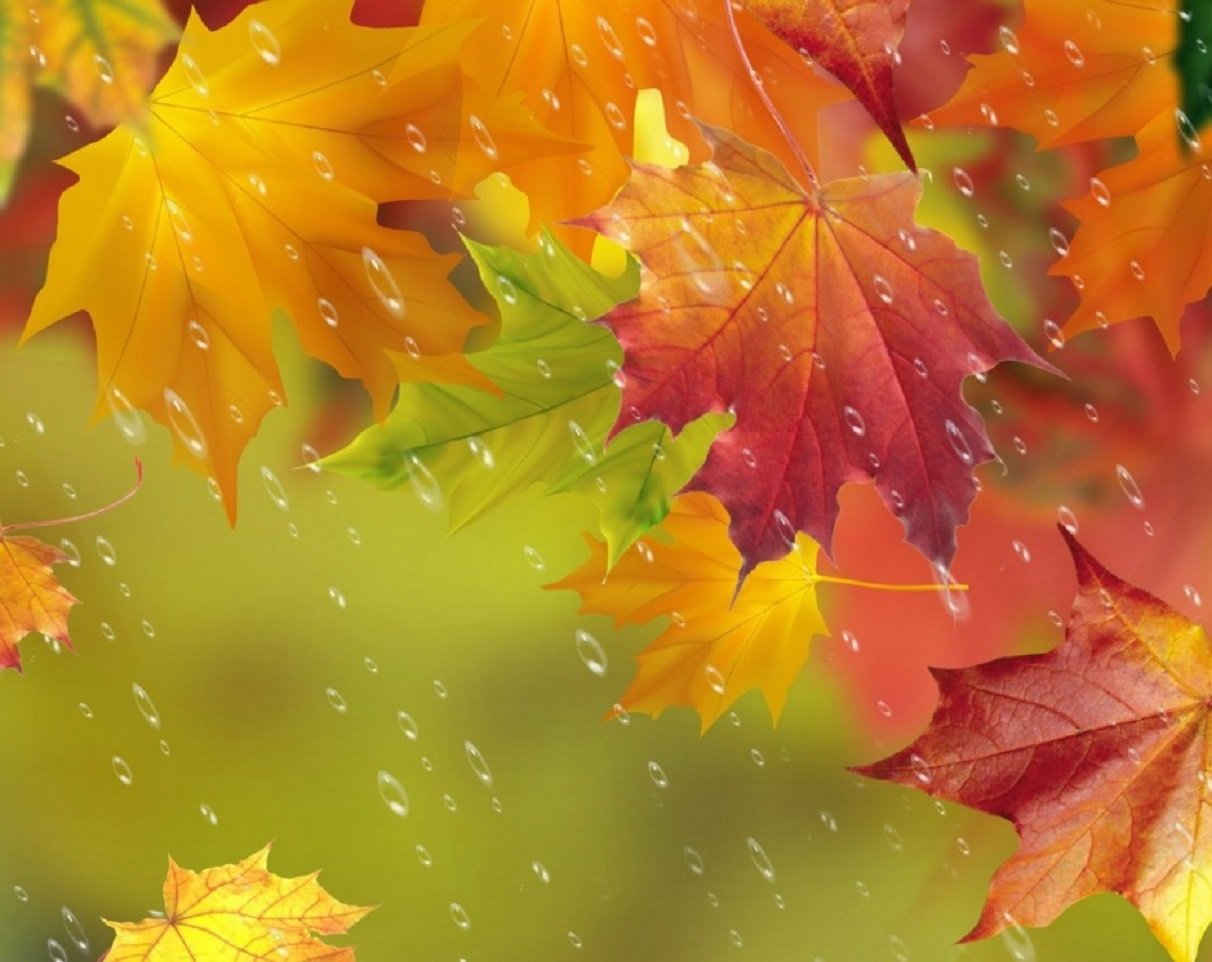 В Украину идет мощное похолодание: температура воздуха резко снизится до +7 градусов