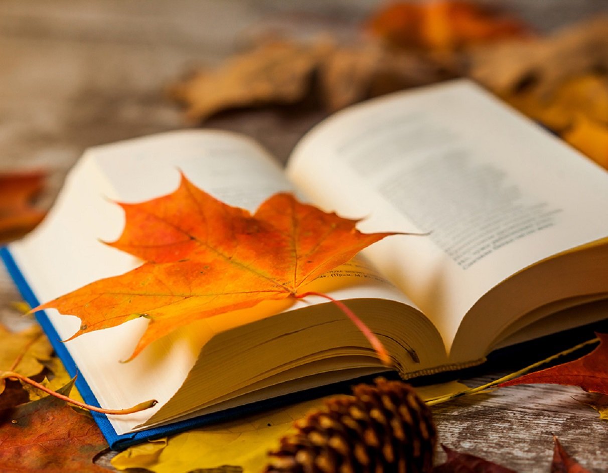 В Украине резко изменится погода на выходных