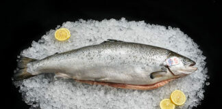 Як вибрати філе лосося? - today.ua