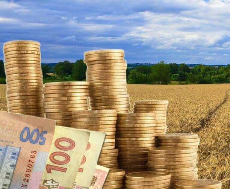 Владельцев земли в Украине обложат новыми крупными налоговыми отчислениями - today.ua