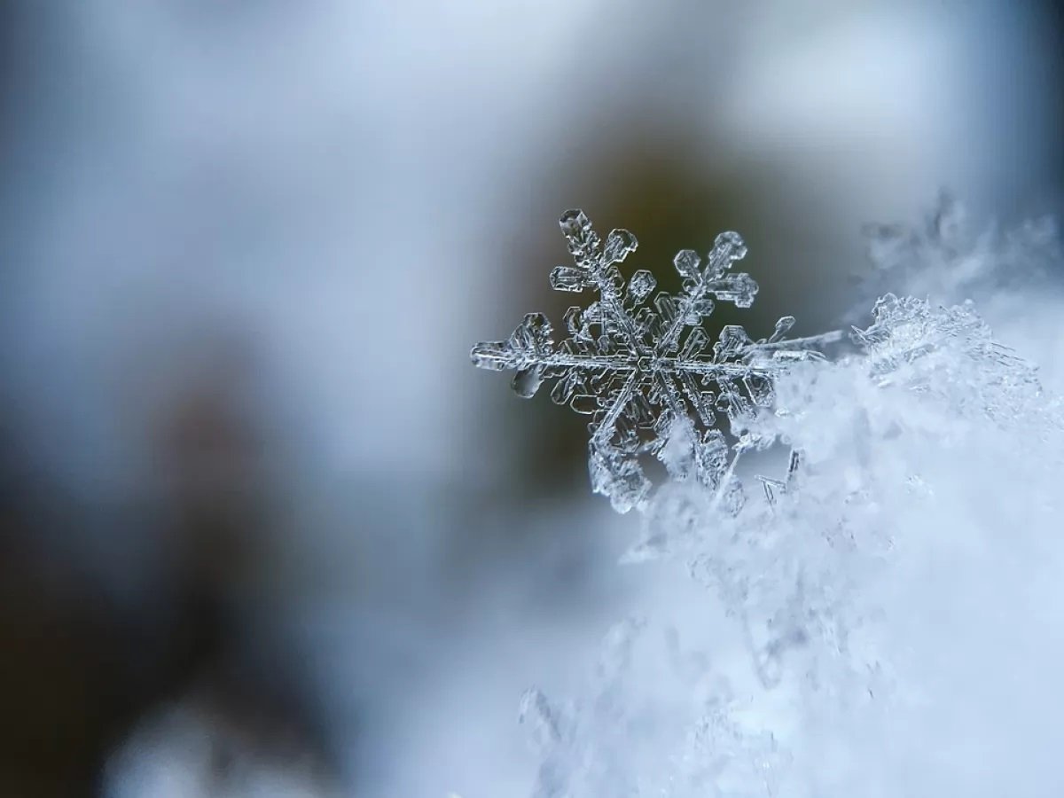 Украину скуют морозы: прогноз погоды на Новый год обнародовали в Укргидрометцентре