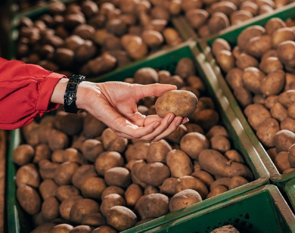 Украине угрожает дефицит картофеля из-за массового экспорта в Беларусь