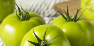 Маринованные зеленые помидоры за полчаса: быстрый рецепт хрустящей закуски на зиму - today.ua