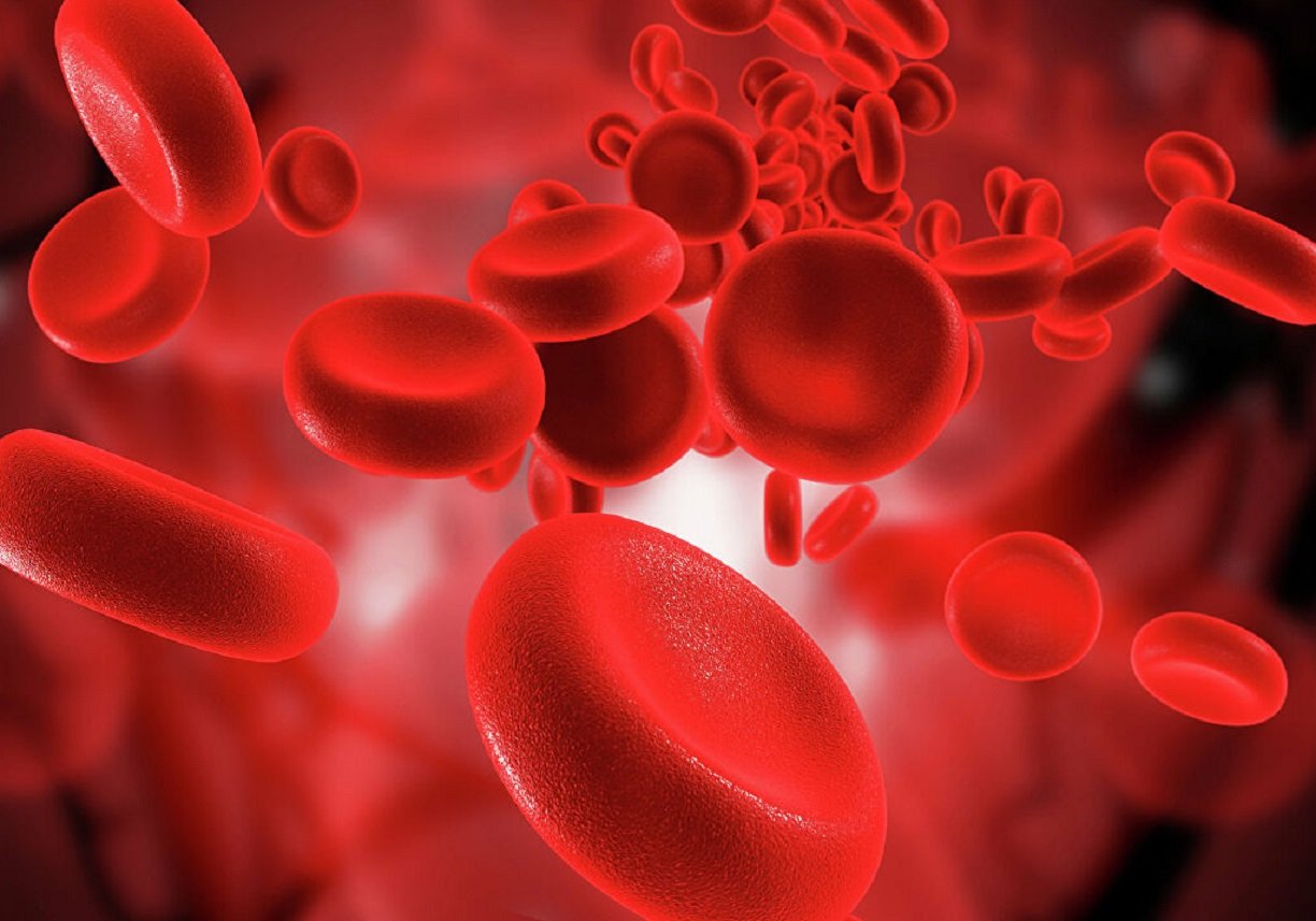 Названы продукты питания, которые приводят к образованию тромбов в кровеносных сосудах - today.ua