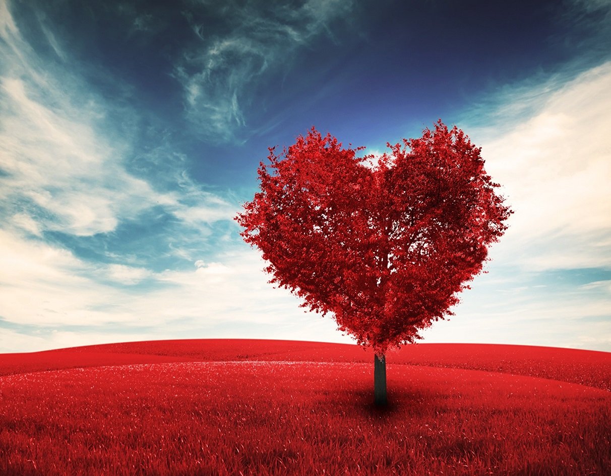 Названы знаки Зодиака, которых ждет крах всех надежд и разрыв отношений в сентябре 2021 года - today.ua