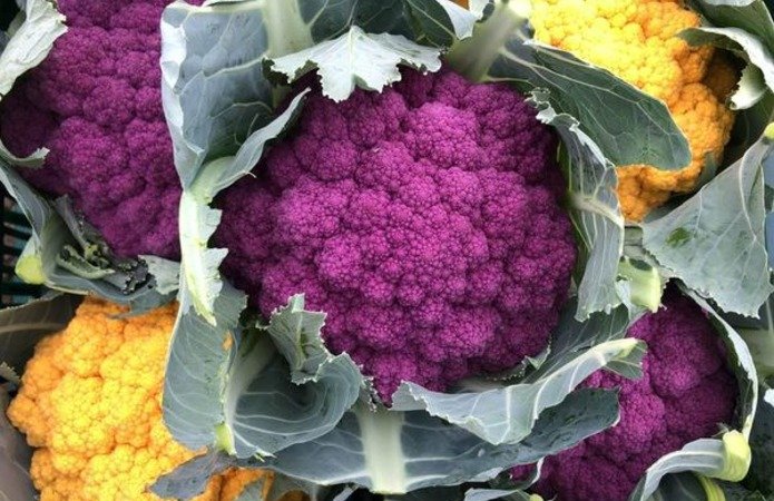 В Украине вдвое подорожала цветная капуста: сколько стоит овощ на рынках