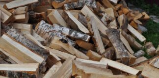 Ціни на дрова: в Україні стрімко росте вартість всіх видів енергоносіїв - today.ua