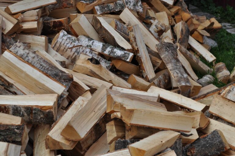 Ціни на дрова: в Україні стрімко росте вартість всіх видів енергоносіїв - today.ua