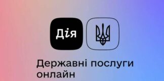 Украинцам рассказали о возможной утечке данных из приложения “Дия“ после хакерской атаки  - today.ua