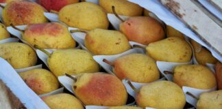 Груши в Украине продают по рекордным ценам: сколько стоят фрукты на базарах  - today.ua