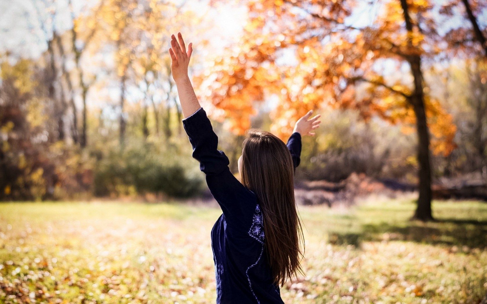 В Украину пришло бабье лето: синоптики рассказали, где будет потепление, а где ждать заморозков