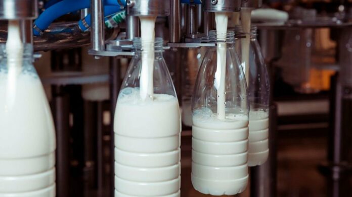 Цены на молоко в Украине выросли до 30 грн за литр: фермеры назвали причины - today.ua