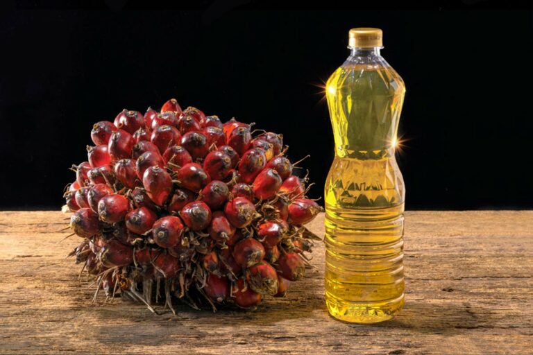 Табу на растительное масло: в Украине хотят запретить продукт, который вредит здоровью - today.ua