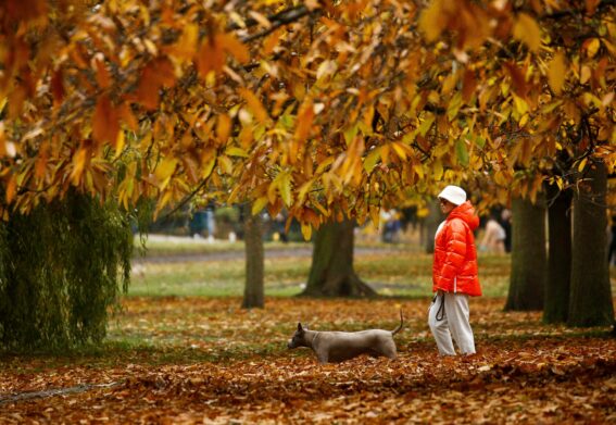 Украину накроет волна потепления в сентябре: синоптики назвали дату, когда отступят холода - today.ua