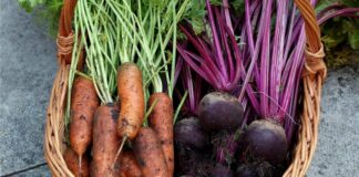 В Украине резко подешевели картофель, морковь и свекла: сколько стоит сварить борщ из сезонных овощей   - today.ua