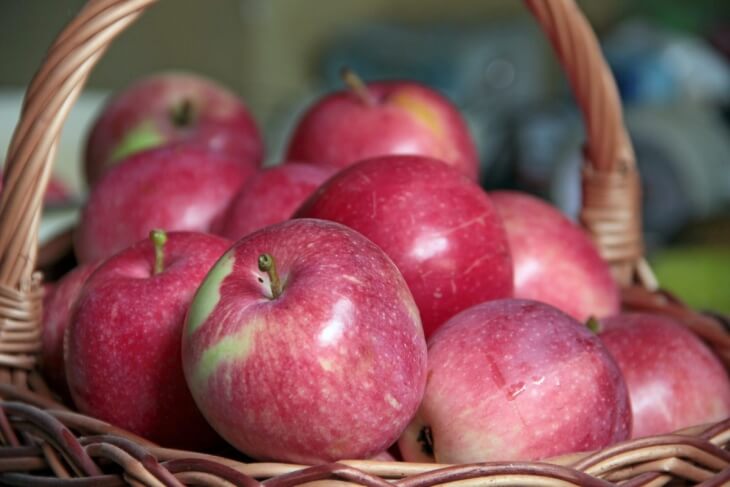 Так дешево не было давно: цены на яблоки опустились до трехлетнего минимума