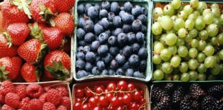Часть урожая не соберут: из-за цены на ягоды фермеры решили их оставить на корню - today.ua