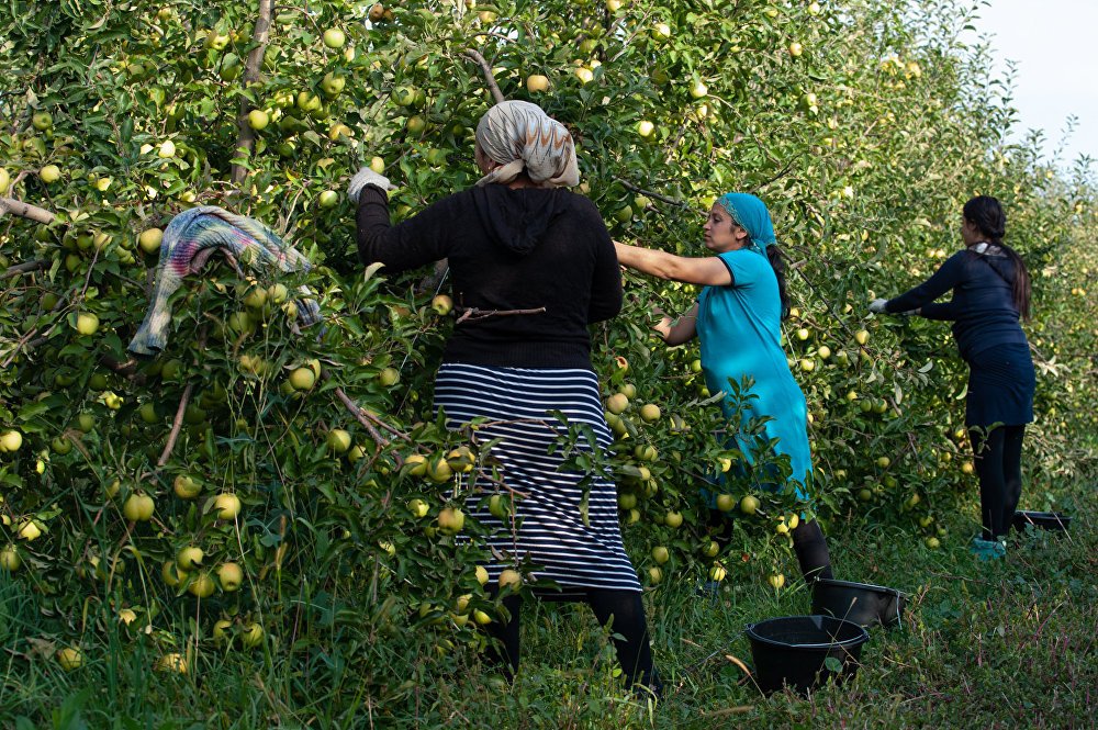 В Польше украинские заробитчане идут нарасхват: какие работники требуются, и сколько платят