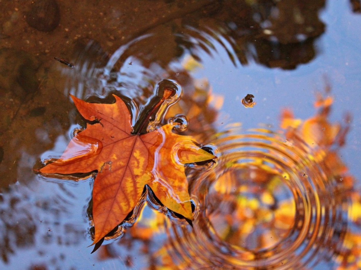 В Гидрометцентре рассказали, когда в Украине похолодает до +8 градусов и начнется отопительный сезон