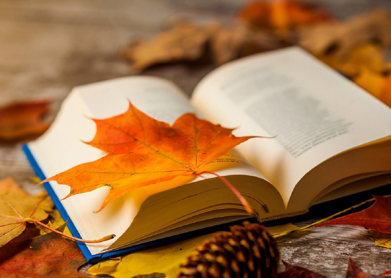 В Украине резко похолодает: прогноз погоды от Укргидрометцентра до середины будущей недели