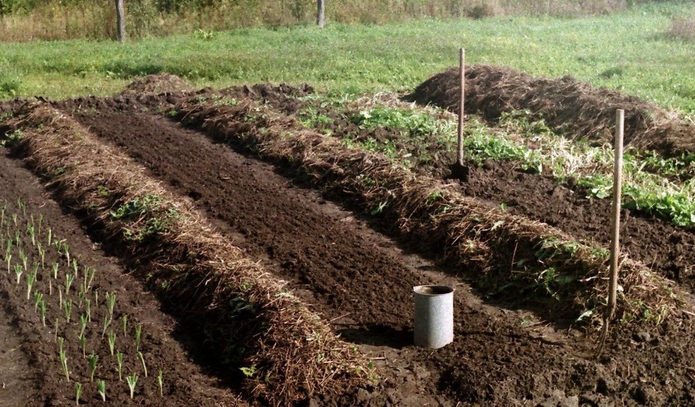 Підвищення тарифів на газ вдарить по ринку землі: аграрії назвали галузі, які постраждають