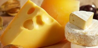 Названо п'ять найбільш корисних видів сиру для здоров'я кісток, нервової системи і серця - today.ua