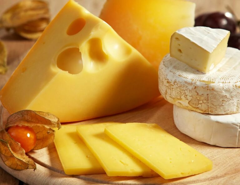 Названы пять самых полезных видов сыра для здоровья костей, нервной системы и сердца - today.ua