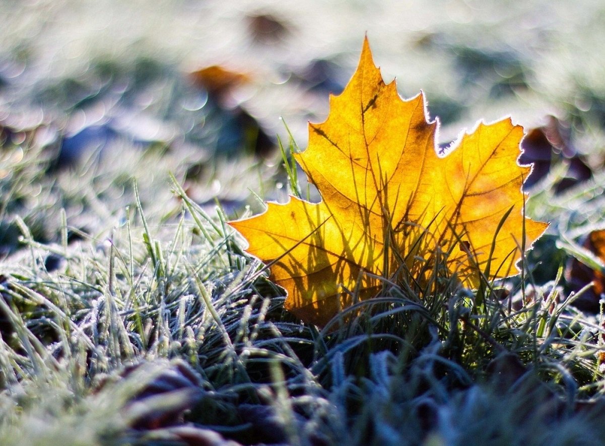 В Украине изменится погода на выходных: новый прогноз от синоптика Наталки Диденко