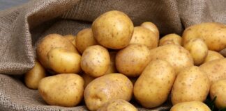 Пять ошибок хранения картофеля, которые делают овощ опасным для здоровья - today.ua