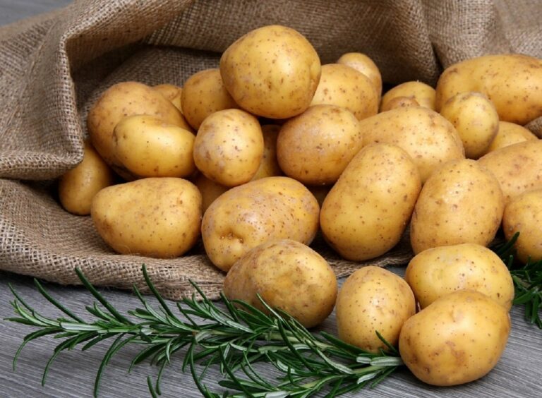П'ять помилок зберігання картоплі, які роблять овоч небезпечним для здоров'я - today.ua