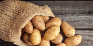 Как сохранить картофель в квартире до весны: секреты хозяек - today.ua