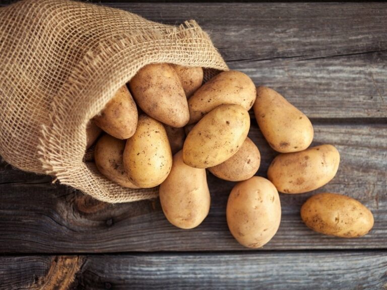 Как сохранить картофель в квартире до весны: секреты хозяек - today.ua