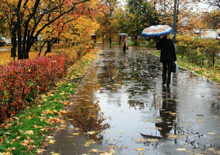 Украину на выходных накроют заморозки и дожди: синоптики предупредили, что похолодание будет недолгим    - today.ua