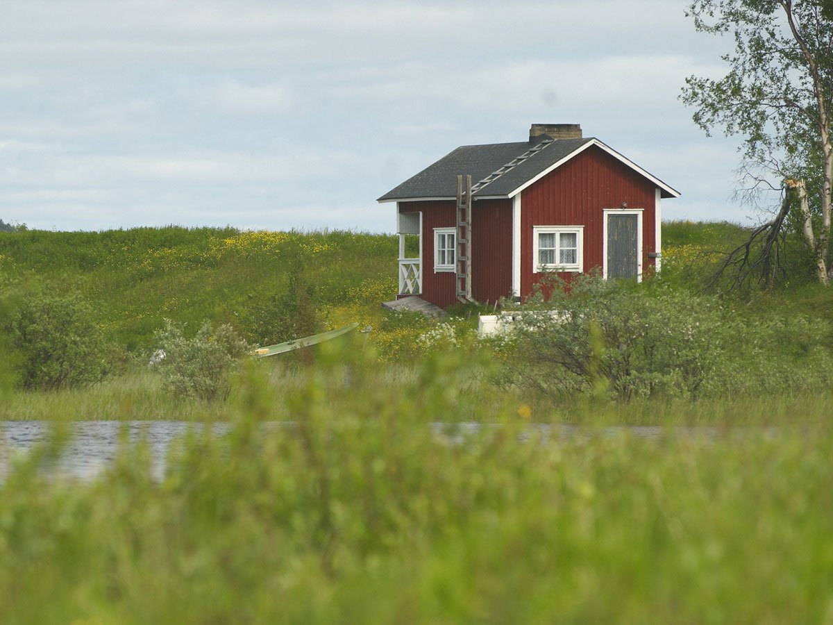 Триста гривень за гектар: в Україні продали ділянку землі за рекордною ціною