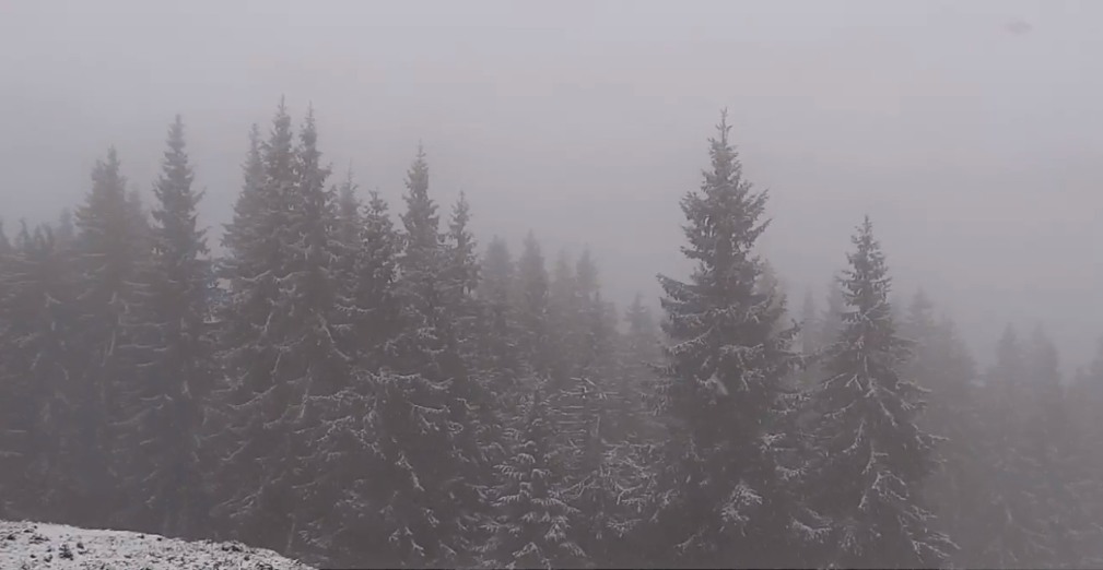 В Украине выпал первый снег на популярном курорте в Карпатах