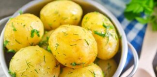 Когда нужно солить отварной картофель, чтобы блюдо получилось вкусным и полезным - today.ua
