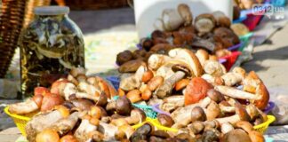 В Україні почався сезон грибів: названі ціни на базарах в різних регіонах - today.ua