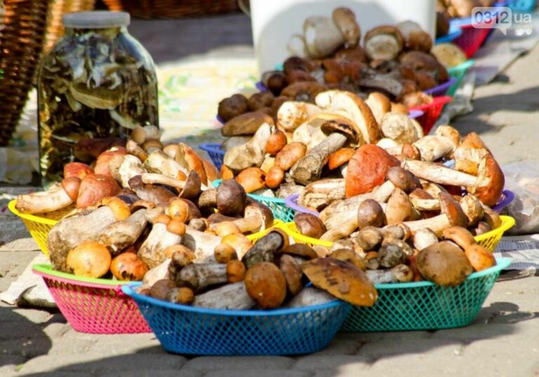 В Украине начался сезон грибов: названы цены на базарах в разных регионах - today.ua