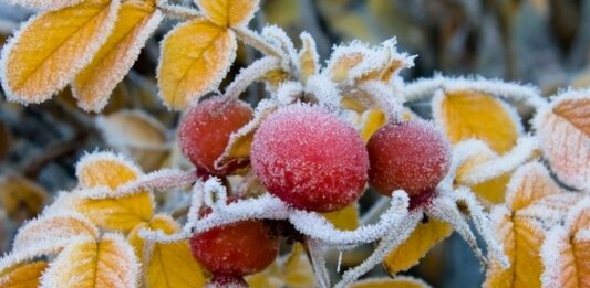 В Україні вдарять морози відразу після бабиного літа: погода зміниться дуже швидко - today.ua