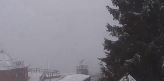 В Україні випав перший сніг на популярному курорті в Карпатах - today.ua
