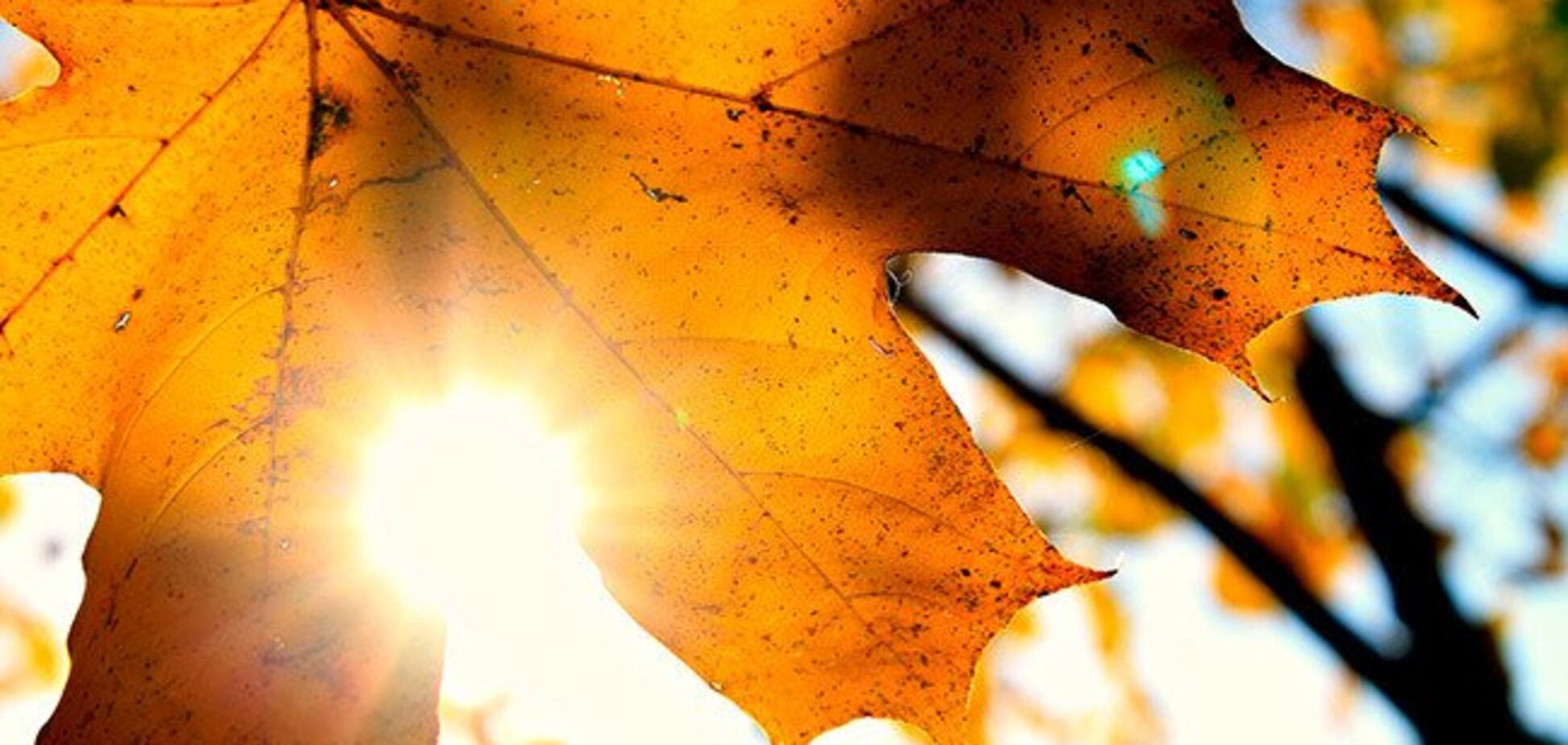 В Украину вернется теплая и сухая погода: синоптик Наталка Диденко дала прогноз до конца недели