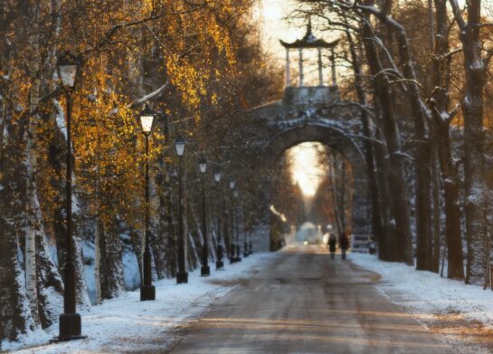 Украину завалит снегом в конце ноября: прогноз погоды от синоптиков Укргидрометцентра     - today.ua