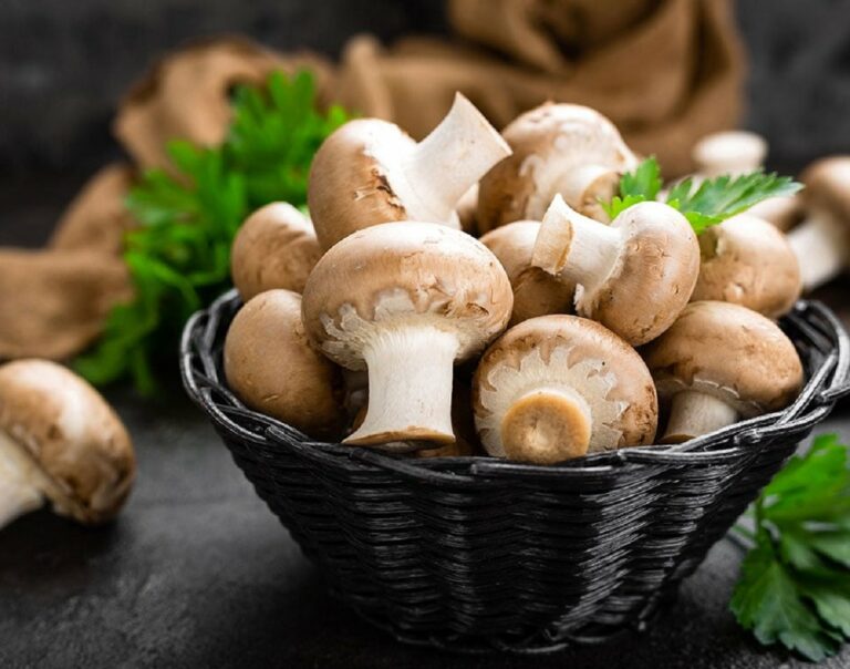 В Україні заборонять продаж грибів на ринках на законодавчому рівні - today.ua