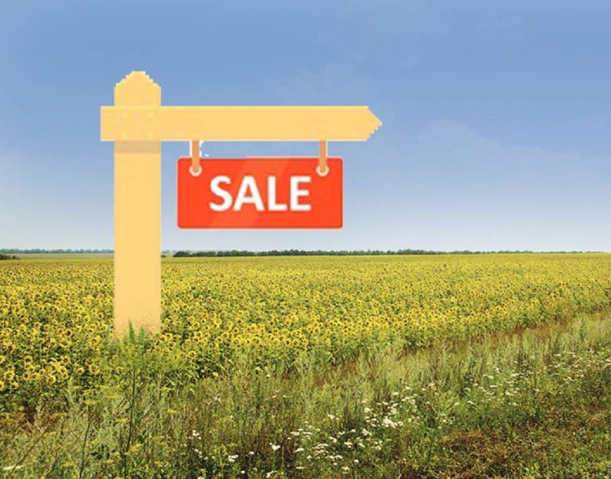 В Україні змінять правила купівлі землі: що потрібно знати власникам ділянок - today.ua